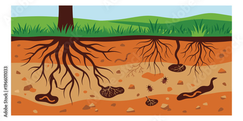 Cartoon illustration of underground soil cross section depicting plant roots insects and earthworms for nature and ecology design