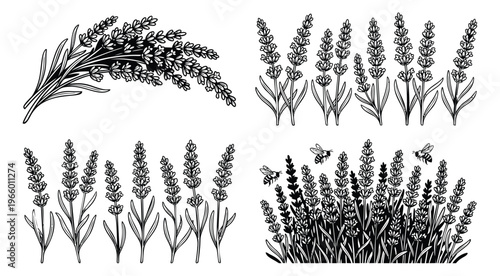 Engraving icon set of 4 lavender bunches featuring blooming stems, field silhouettes and bees for botanical design