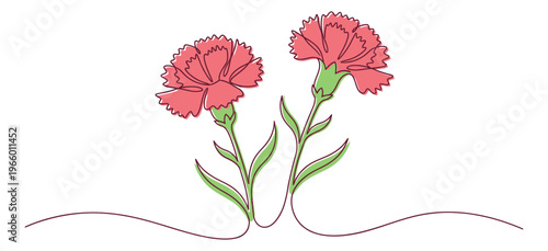 Continuous line art illustration of two carnation flowers depicting blooming stems with leaves for floral and botanical design