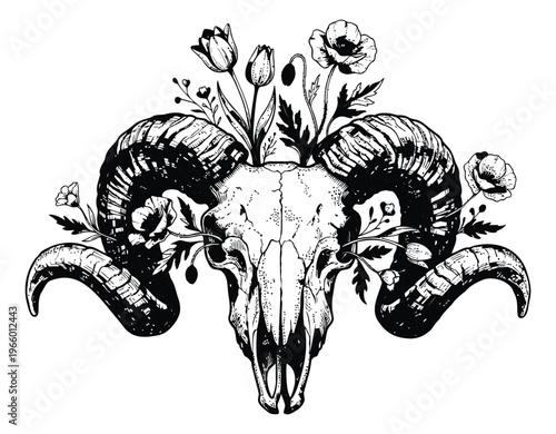 Engraving illustration of ram skull with flowers depicting gothic boho design for tattoo and print