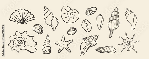 Set of hand drawn vector line art seashells and starfishes