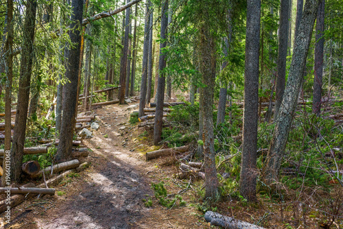 Absaroka-Beartooth Wilderness