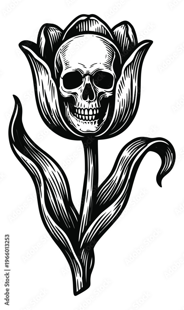 Fototapeta premium Woodcut illustration of a skull tulip depicting dark floral gothic imagery for tattoo and horror design