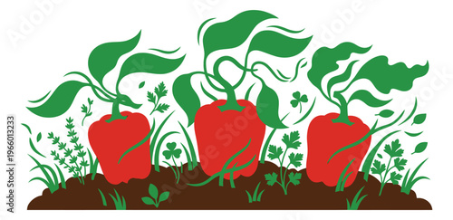 Flat silhouette illustration of red bell peppers growing in garden soil depicting vegetable harvest for food and agriculture design