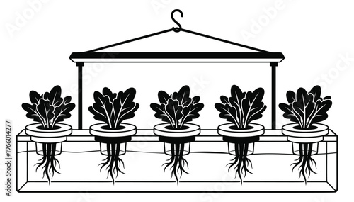 Silhouette illustration of hydroponic indoor garden depicting plants growing in water system with grow light for agriculture design