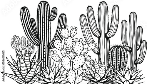 Black white cactus vector 