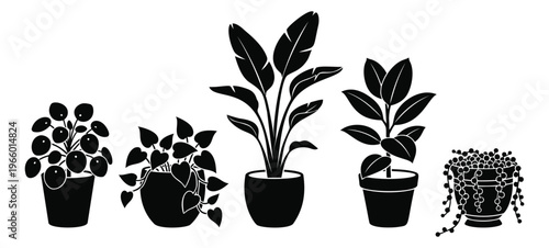 Silhouette icon set of 5 houseplants featuring potted tropical leaves, trailing vines and indoor foliage for home decor design