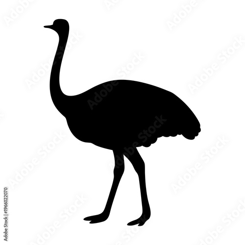 Striking silhouette of a large ostrich standing tall in stark contrast