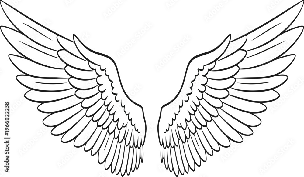 Fototapeta premium A pair of symmetrical wings illustrated in a minimalist line drawing style Vector
