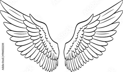 A pair of symmetrical wings illustrated in a minimalist line drawing style Vector