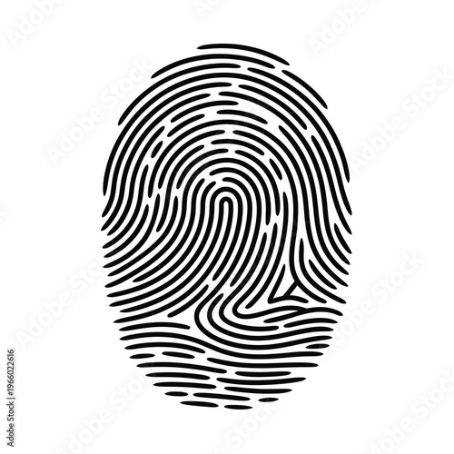 A detailed black and white illustration of a human fingerprint pattern