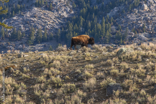 Yellowstone National Park