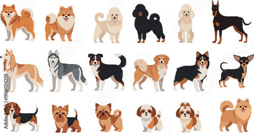Cartoon Dog Breeds Set with Shiba Inu, Poodle, Doberman, Beagle, and More