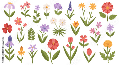 A cheerful collection of illustrated wildflowers creates a vibrant and positive mood, perfect for spring-themed designs, website backgrounds, or brand