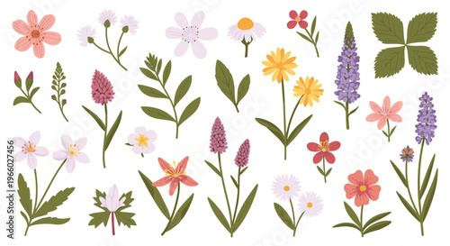 A delicate arrangement of illustrated wildflowers evokes a sense of natural beauty and tranquility, perfect for springtime designs or botanical-themed