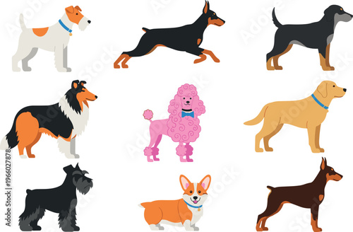 Cartoon Dog Icon Set Featuring Various Breeds Including Doberman, Poodle, Collie, Schnauzer, Corgi, and More