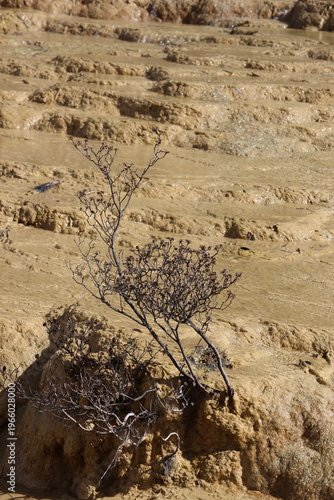 Crystal clear water flowing down from melting snow mixed with limestone water from underground at Huanglong National Park, Songpan County, Sichuan Province of China