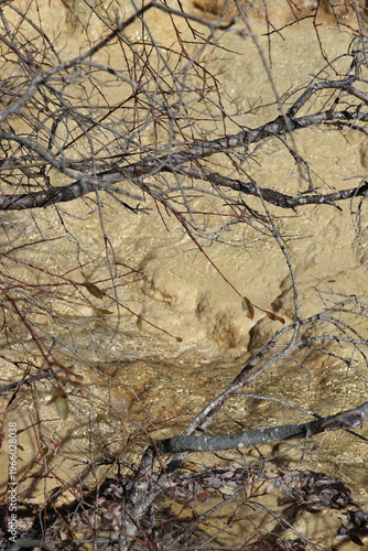 Crystal clear water flowing down from melting snow mixed with limestone water from underground at Huanglong National Park, Songpan County, Sichuan Province of China