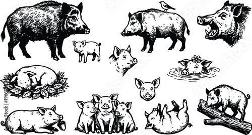 Black and white line art wild boar and piglet group with swimming pig and sleeping sow