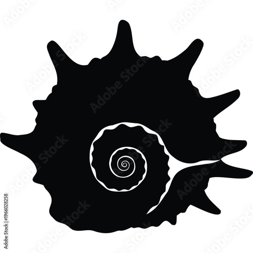 Black spiky seashell silhouette with intricate spiral interior on white background, organic form, geometric pattern