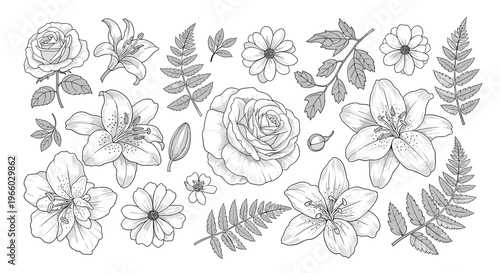 A delicate and refined black and white illustration of a lily. Perfect for botanical designs, wellness themes, or adding a touch of natural beauty to 