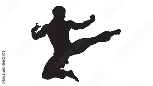 Martial artist silhouette performing a dynamic jumping side kick with outstretched arms and focused gaze on a white background.