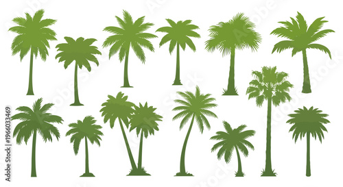 Variety of palm tree silhouettes