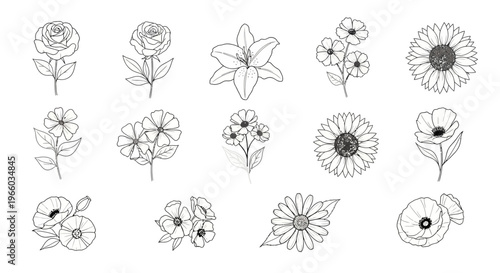 Minimalist floral set: black and white line art flowers collection