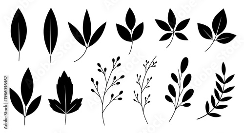 Nature silhouettes: collection of leaf and branch designs for seasonal projects