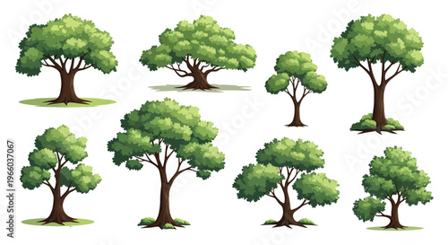 Collection of cartoon style green trees set on white background