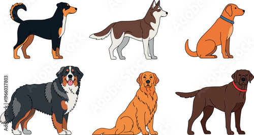 Cartoon Dog Icon Set Featuring Various Breeds Including Rottweiler, Husky, Labrador, Golden Retriever, Bernese Mountain Dog, and Chocolate Labrador
