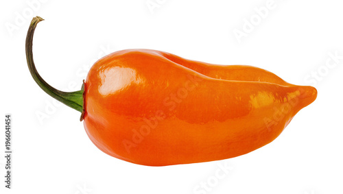 Tableau sur toile Shiny orange habanero pepper with green stem, isolated on transparent background