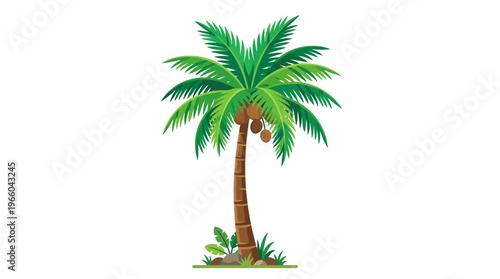 A single palm tree standing tall.