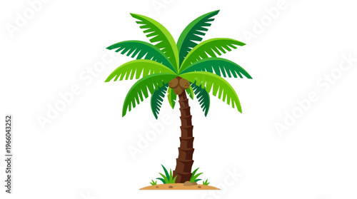Palm Tree with Green Leaves and Trunk.