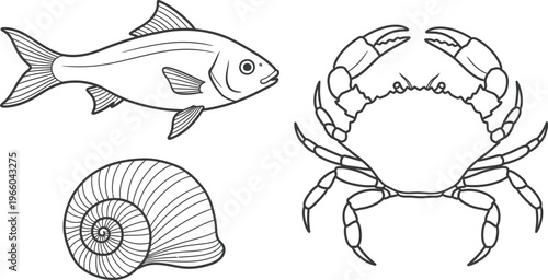 Illustrations of a fish, crab, and seashell from marine life Vector