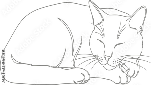 A peaceful sketch of a sleeping cat curled up in relaxation Vector