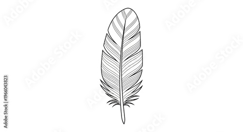 Intricate feather design in minimalist black and white linear style