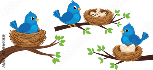 Cute blue birds in nests on tree branches with eggs vector illustration set adorable wildlife family nature scene design