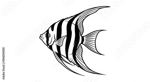 Detailed black and white angelfish silhouette in side view design