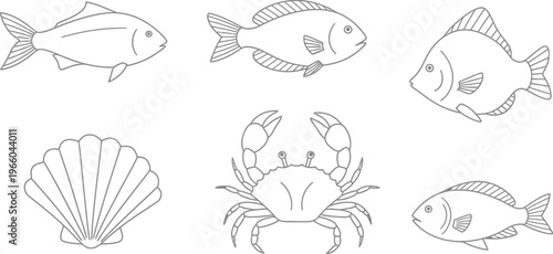Diverse marine creatures and shellfish illustrations in monochrome Vector