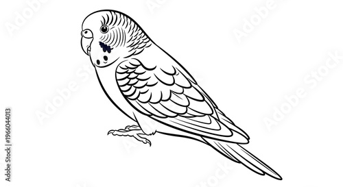 Detailed line art of a parakeet perched on a branch in black and white