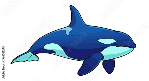 Cartoon killer whale in blue tones with smooth gradients on white background