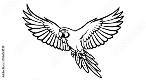 Majestic parrot in flight with wings spread in black and white art