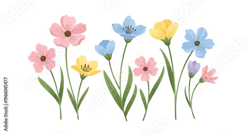 Vibrant floral collection with colorful blossoms and green stems on white background