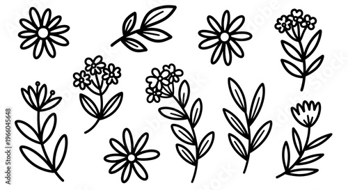 Hand drawn floral icons with minimalist black line art