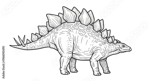 Stegosaurus black and white sketch with detailed line art