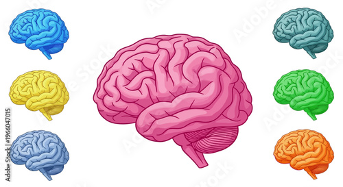 Colorful brain collection: diverse artistic interpretations of human anatomy