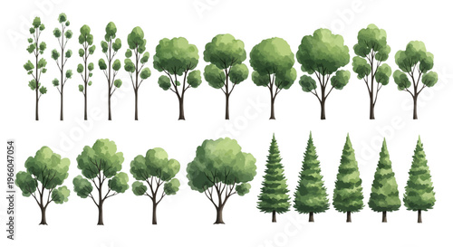 Watercolor collection of various tree species in rows