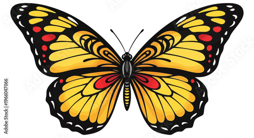 Vibrant butterfly with detailed patterns in classic design