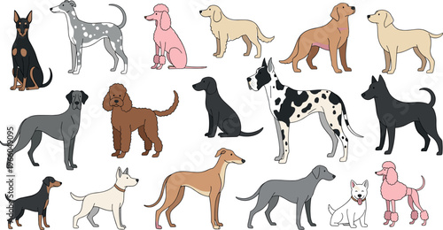 Dog Breed Character Set Featuring Doberman, Dalmatian, Poodle, Great Dane, and Other Dogs for Pet-Themed Illustrations and Designs